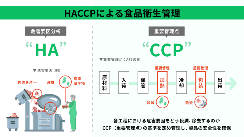 HACCP（ハサップ）とは何かを図解で示したイラスト