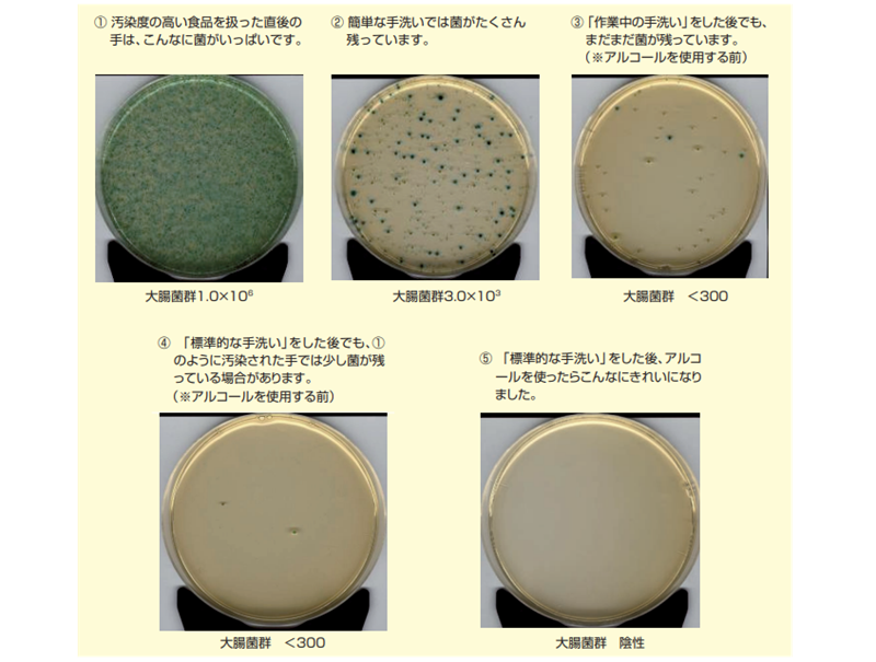 手洗いによる菌の減少結果