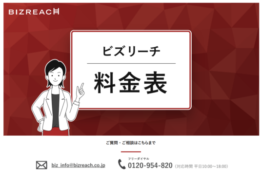 ビズリーチ料金表